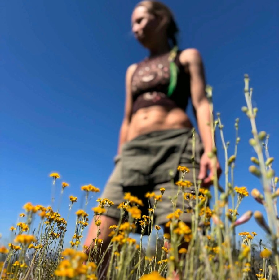 Sunny standing in a field of yellow wildflowers